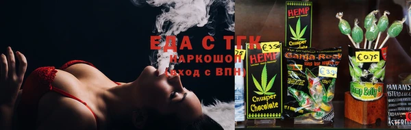 тгк Богданович