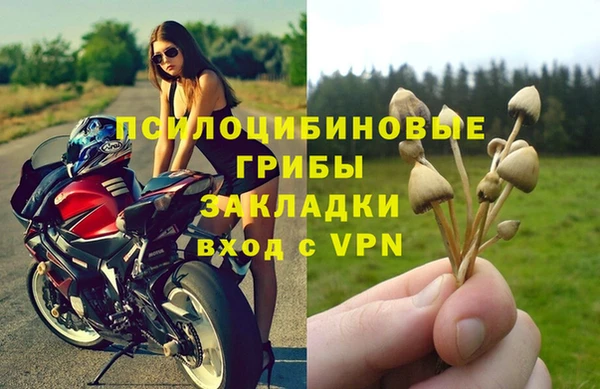 тгк Богданович