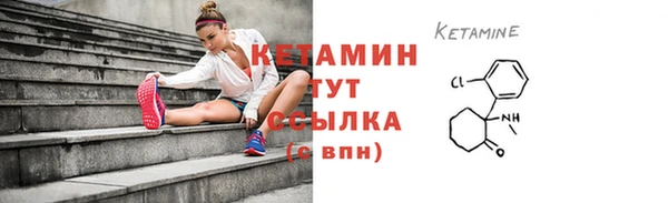 крисы Бородино