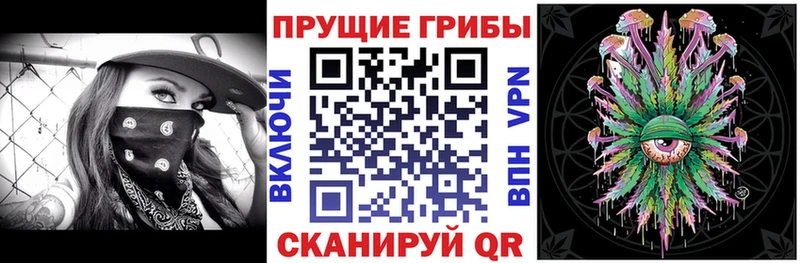 Псилоцибиновые грибы Psilocybine cubensis  Воркута 